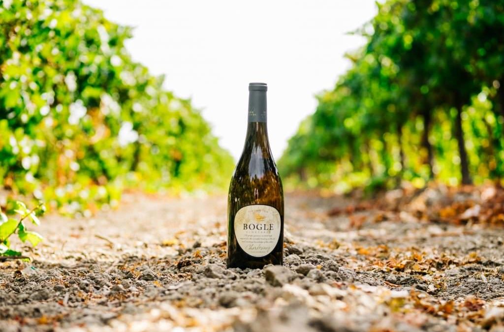 Bogle Vineyards: Six Generations in the Sacramento Region and They Couldn’t Be Happier