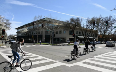 Cacao Research Comes to Downtown Davis