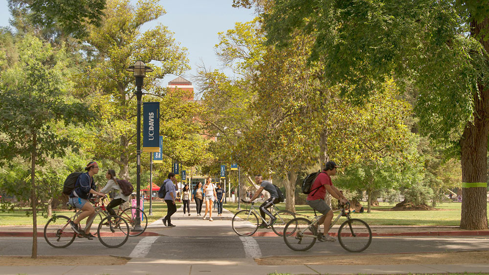 UC Davis campus