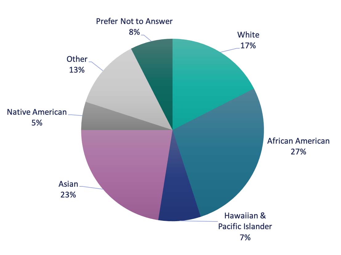 Digital_Upskill-Ethnic breakdown-3