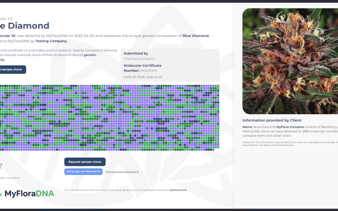 Biotech company – MyFloraDNA – launches DNA profiling to identify and validate cannabis strains