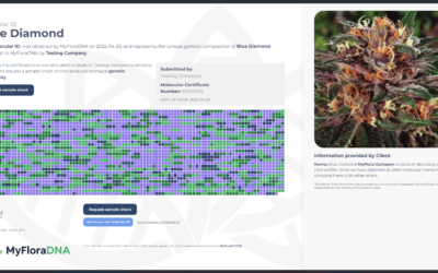 Biotech company – MyFloraDNA – launches DNA profiling to identify and validate cannabis strains