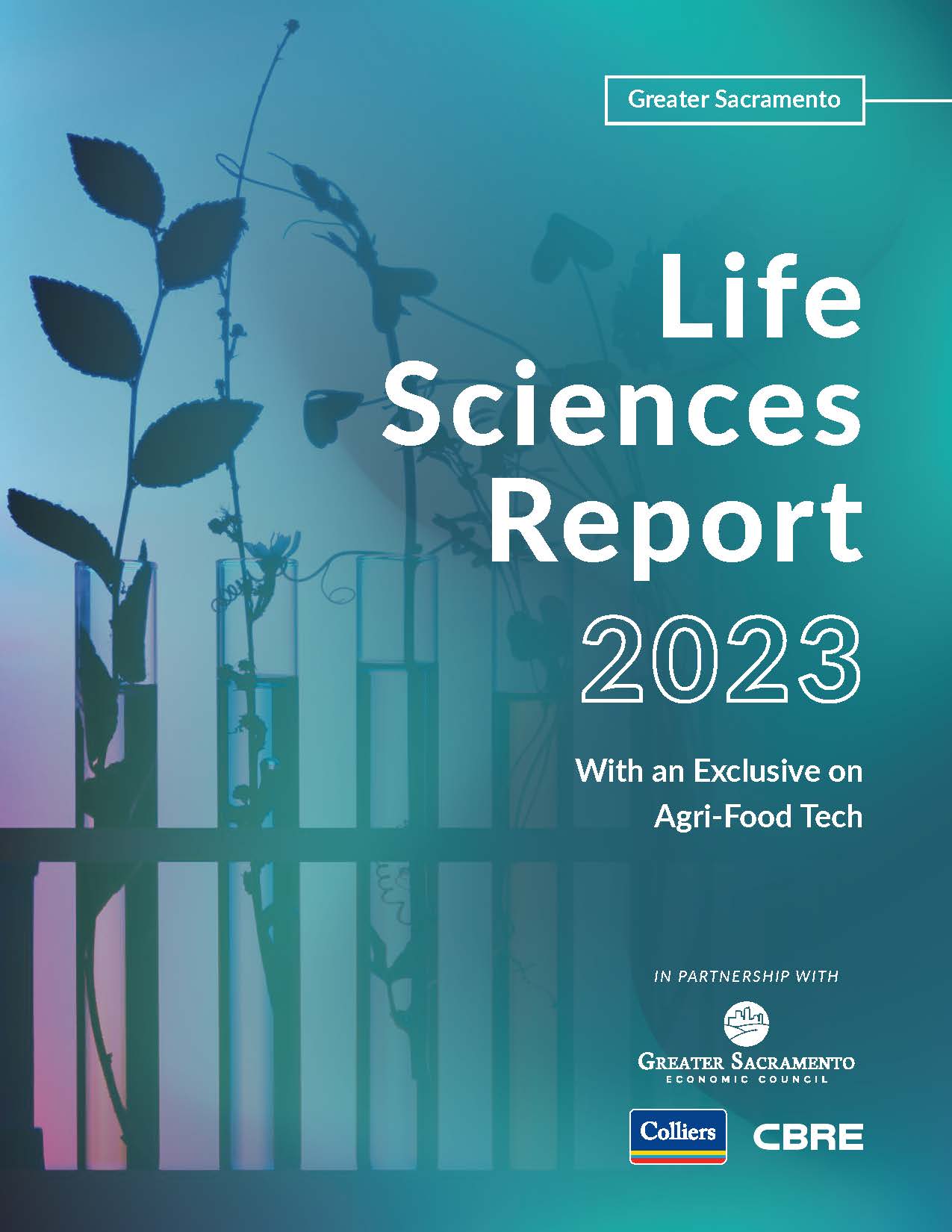 newamark joint report preview